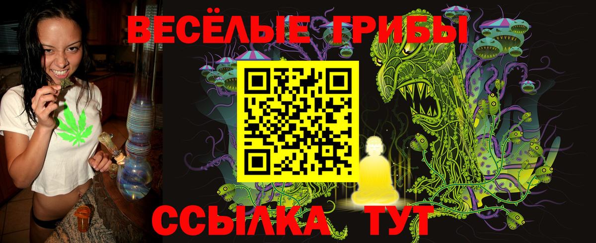 Псилоцибиновые грибы прущие грибы Камышин